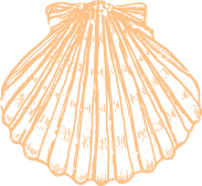 Shack-shell-logo